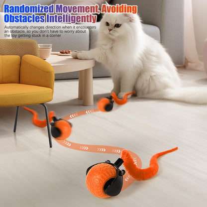 Interactive Cat Ball Toy, Automatic Interactive Cat Toys for Indoor Cats, Smart Self Rolling Ball for Bored Indoor Adult Cats, Obstacle Avoidance Speedy for Enrichment(Blue+Orange)