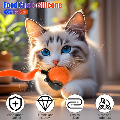 Interactive Cat Ball Toy, Automatic Interactive Cat Toys for Indoor Cats, Smart Self Rolling Ball for Bored Indoor Adult Cats, Obstacle Avoidance Speedy for Enrichment(Blue+Orange)